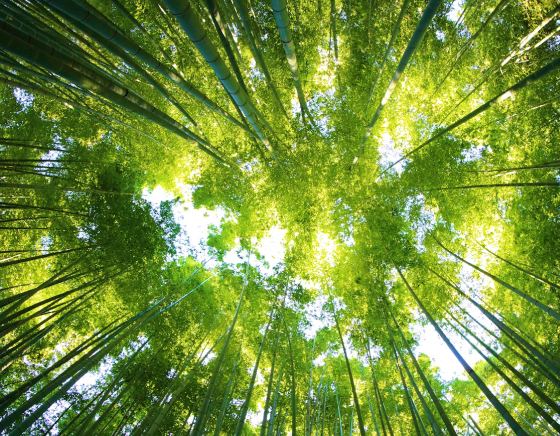 Expert Print Consultancy Services - Sustainability & Compliance targets